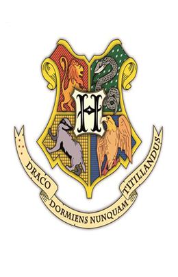 Ayraç Mıknatıslı Hary Potter Arma(25 Li Paket)