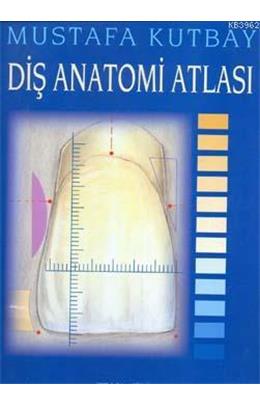 Diş Anatomi Atlası (İkinci El)