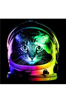 Metal Bardak Altlığı Uzaylı Kedi(6 Adet)