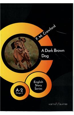 A Dark Brown Dog A2 Stage 2