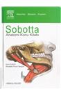Sobotta Anatomi Konu Kitabı (İkinci El) (Stokta 1 Adet)