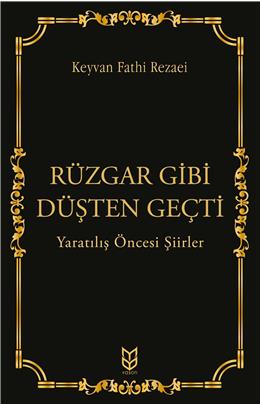 Rüzgar Gibi Düşten Geçti