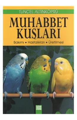 Muhabbet Kuşları