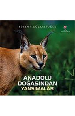 Anadolu Doğasından Yansımalar