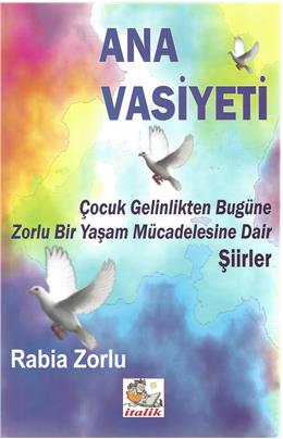 Ana Vasiyeti