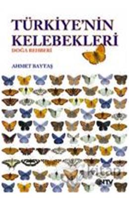 Butterflıes Of Turkey
