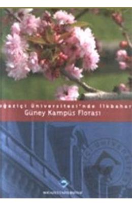 Boğaziçi Üniversitesi´Nde Sonbahar: Güney Kampüs Florası (İkinci El)